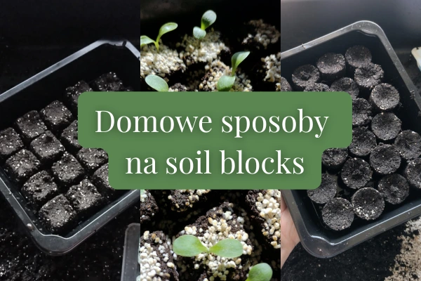 Sposoby na soil blocks do wysiewu nasion Bujny Ogród