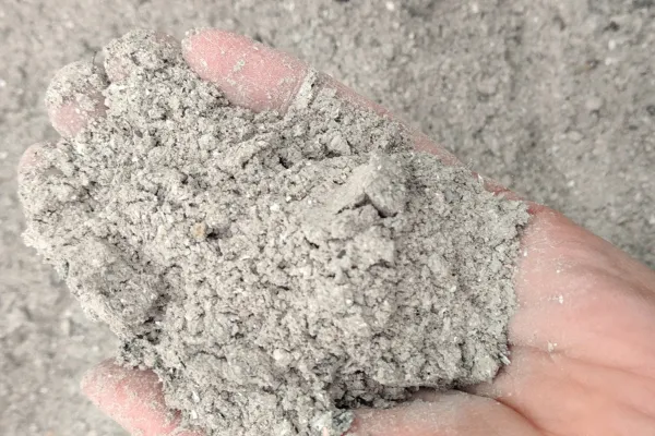 popiół drzewny nawóz do ogordu